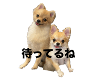 801768866