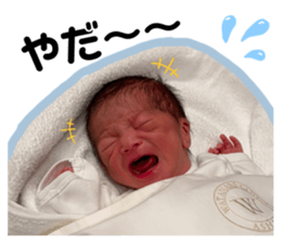 801788376