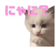 801793331