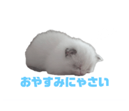 801793332