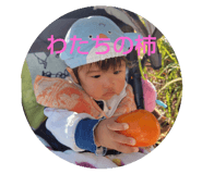 801796294