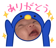 801801606