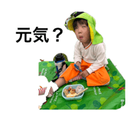 801816138
