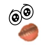 801851169