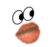 801851178