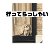 801911301