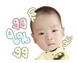 80191131