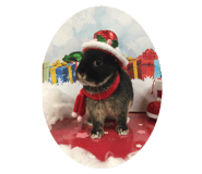 801915133