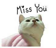 801921598