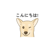801982126