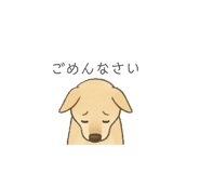 801982128