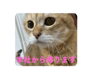 801982578