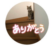 801982581