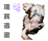802008050