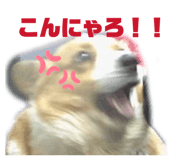 802008060
