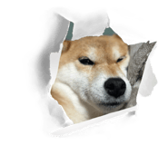 802053290