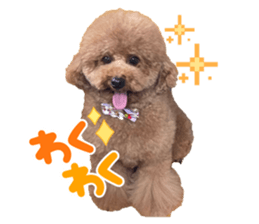 802074297