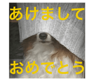 802076420