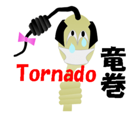 8020798