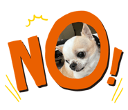802087071