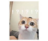 802103498