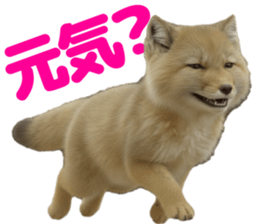 802106846