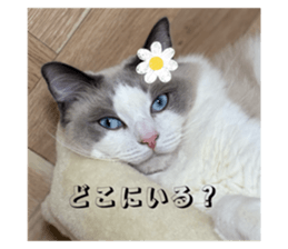 802111277