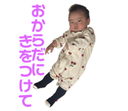 802111646