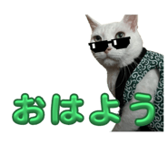 802111693