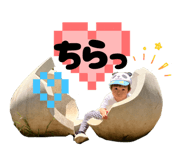 802112448