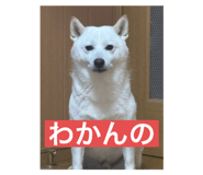 802157045