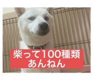 802157290