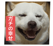 802157301