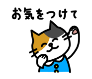 802185544