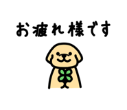 802185554