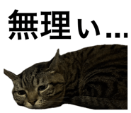 802200695
