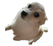 802229371