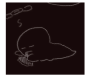 802250567