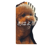 802251665