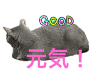 802305832