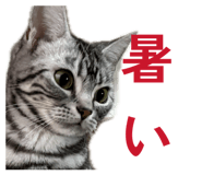 802306661