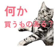 802306679