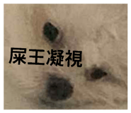 802370561
