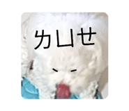 802370573