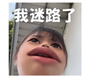802375104