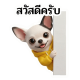 802377577