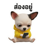 802377581
