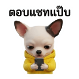 802377582