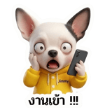 802377583