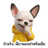 802377593